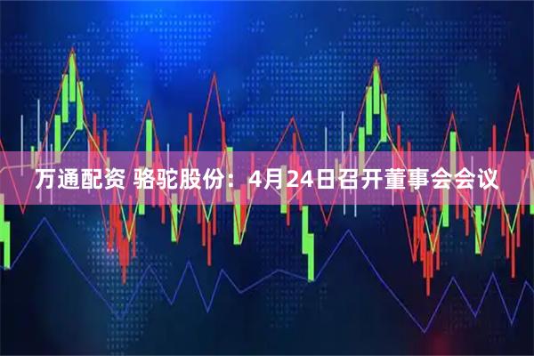 万通配资 骆驼股份：4月24日召开董事会会议