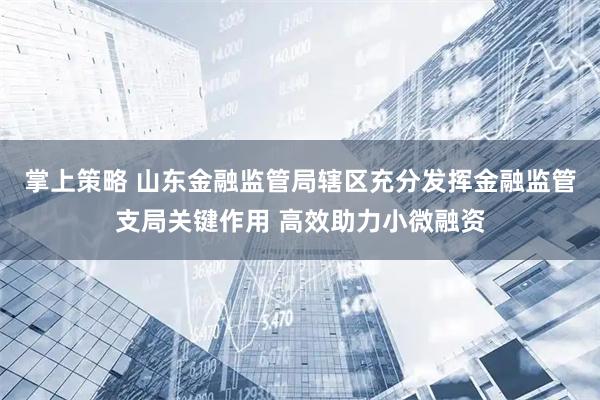 掌上策略 山东金融监管局辖区充分发挥金融监管支局关键作用 高效助力小微融资
