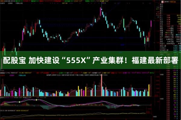 配股宝 加快建设“555X”产业集群！福建最新部署